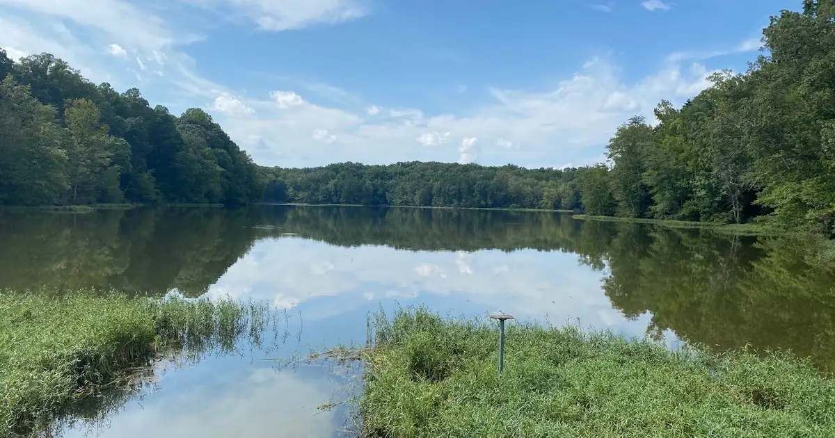 Scenic view of Salem Lake Trail featuring calm waters surrounded by lush green trees and a clear blue sky, offering a peaceful outdoor setting in Winston-Salem.